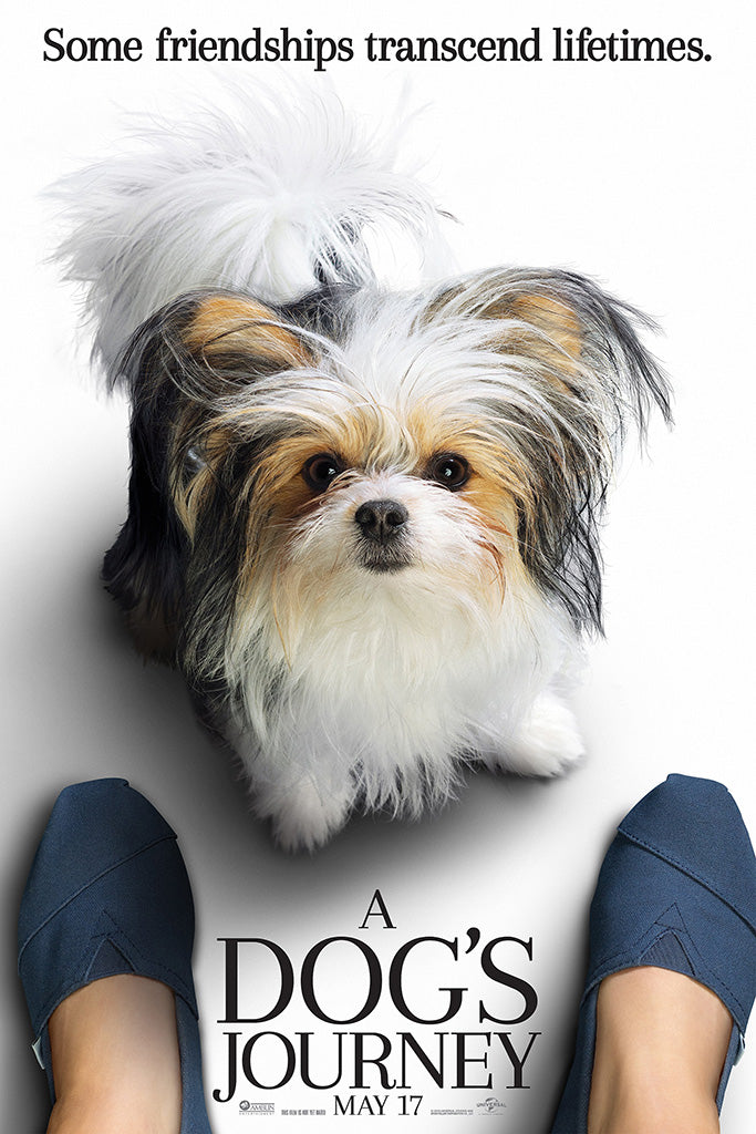 A Dog's Journey Canvas Poster