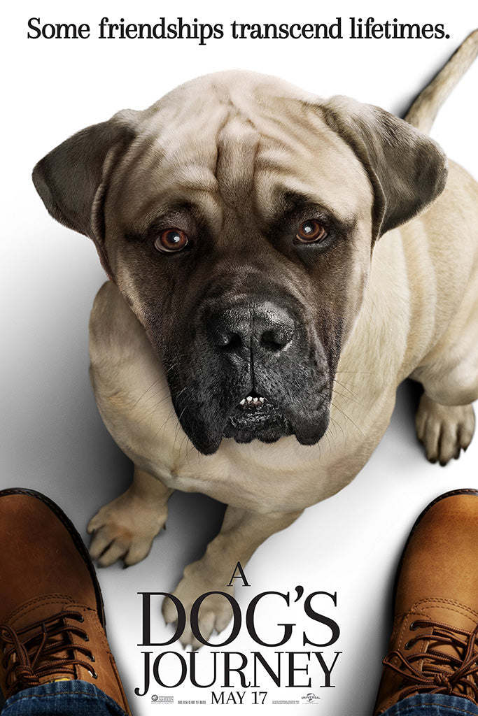A Dog's Journey Movie Canvas Poster