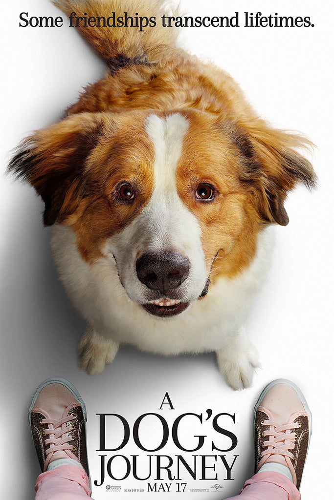 A Dog's Journey Film Canvas Poster