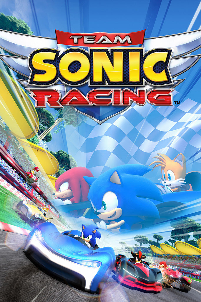 Team Sonic Racing Canvas Poster