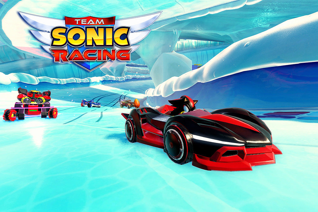 Team Sonic Racing Game Canvas Poster