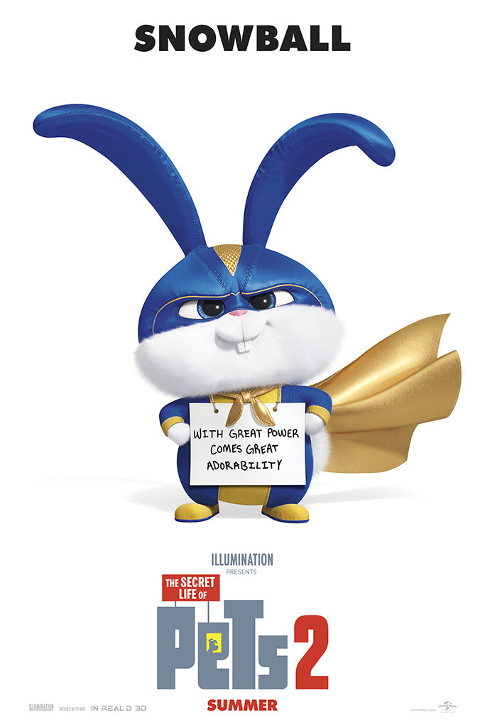 The Secret Life of Pets 2 2019 Film Canvas Poster