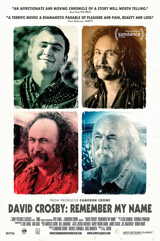 David Crosby Remember My Name Canvas Poster