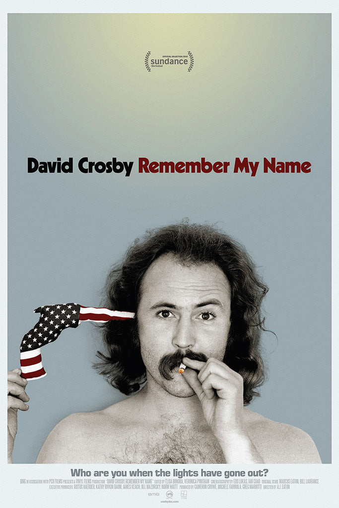 David Crosby Remember My Name Movie Canvas Poster