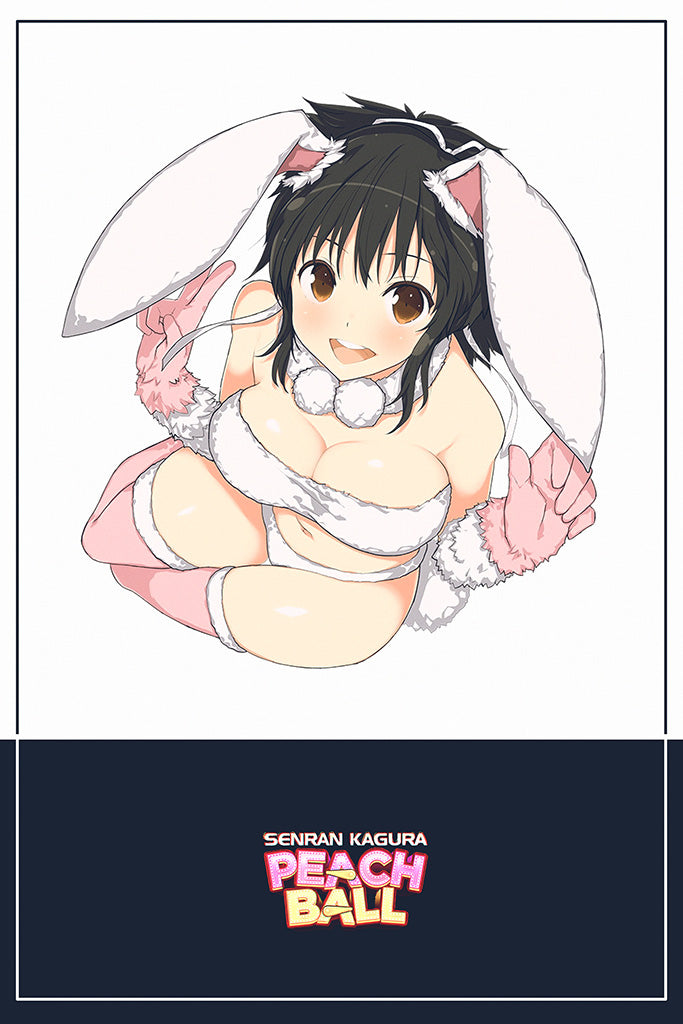 Senran Kagura Peach Ball Video Game Canvas Poster