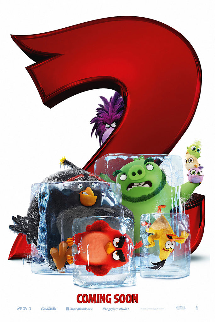 The Angry Birds Movie 2 Canvas Poster