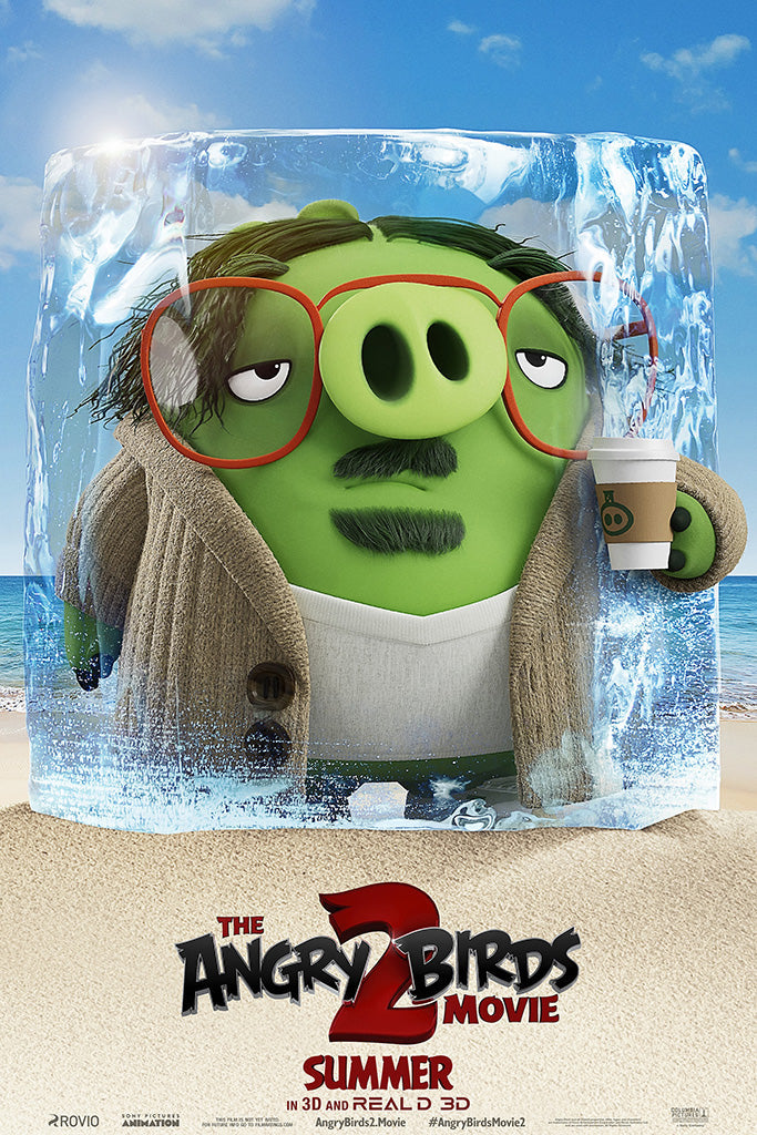 The Angry Birds Movie 2 Film Canvas Poster