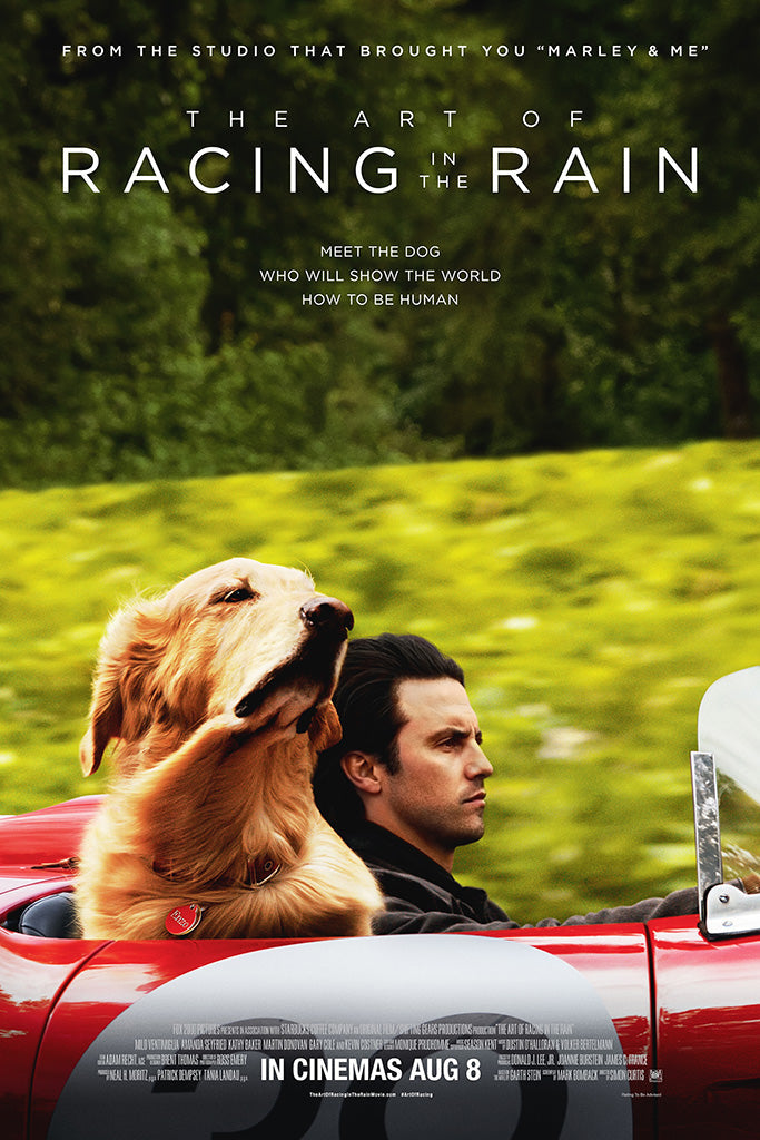 The Art of Racing in the Rain Movie Canvas Poster