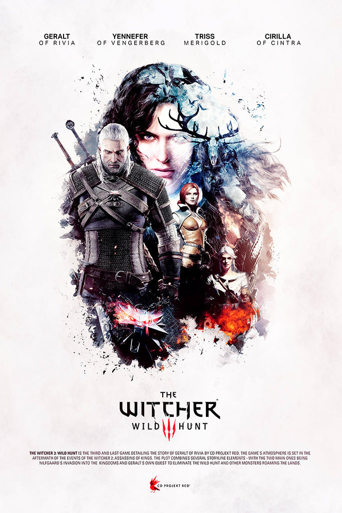 The Witcher 3 Wild Hunt Complete Edition Canvas Poster