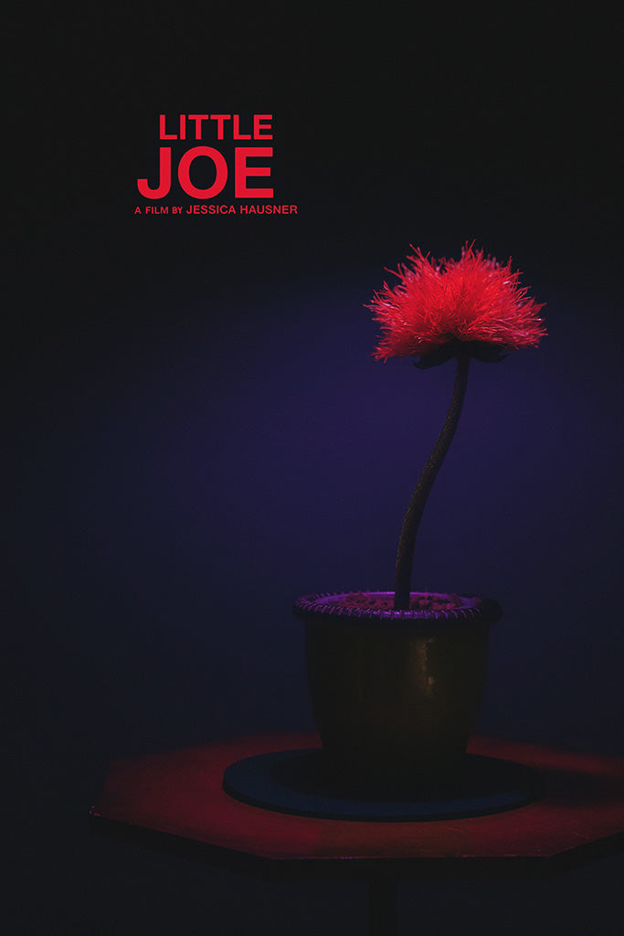 Little Joe Canvas Poster