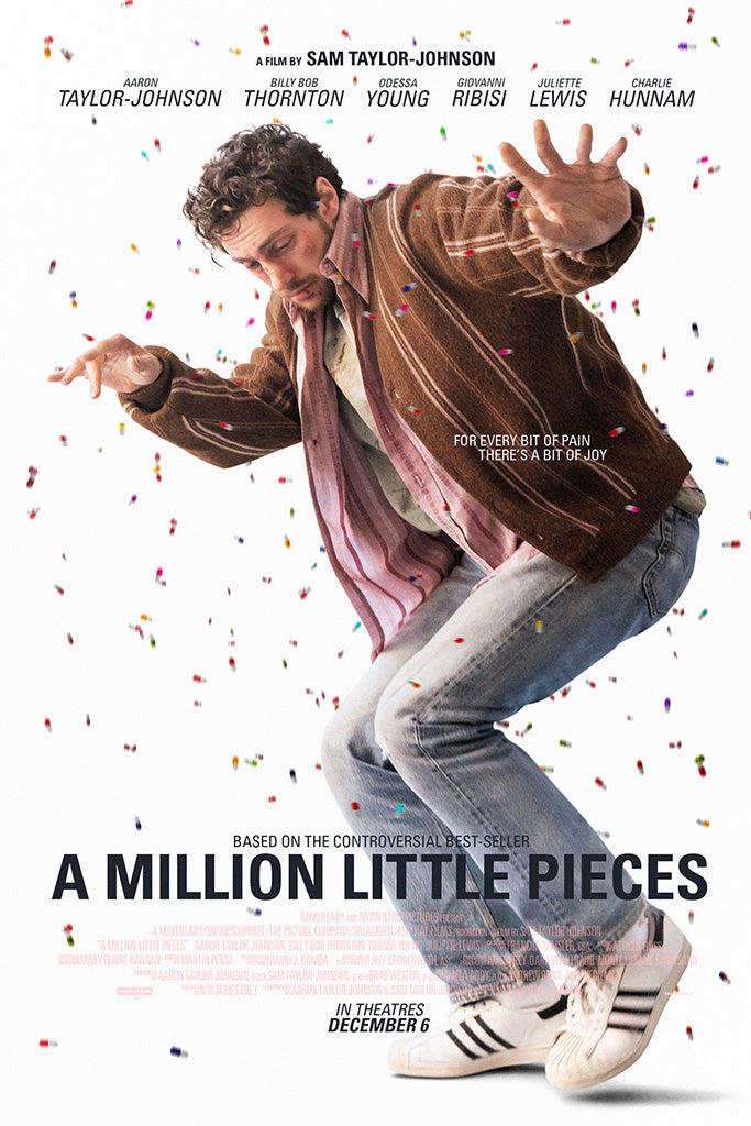A Million Little Pieces Movie Canvas Poster
