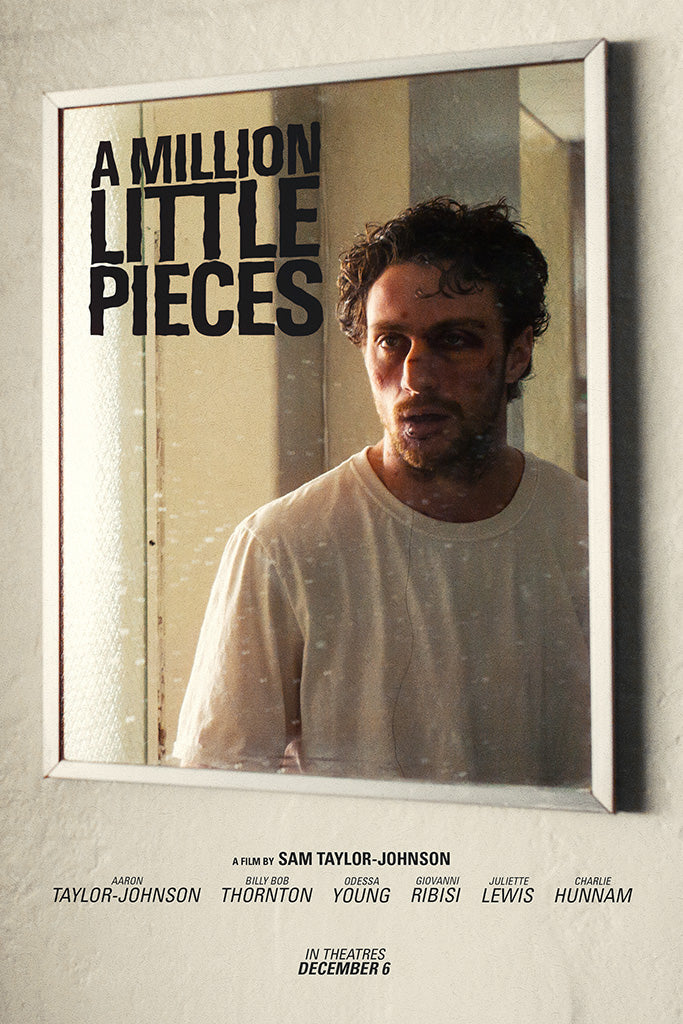 A Million Little Pieces Film Canvas Poster