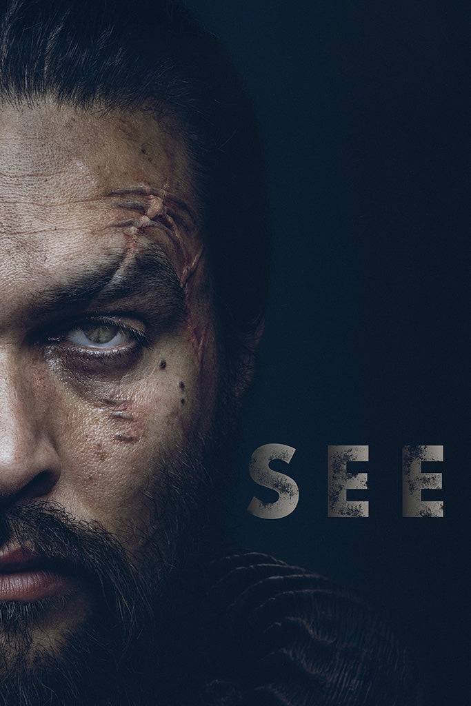Downfall (2004) Canvas Poster