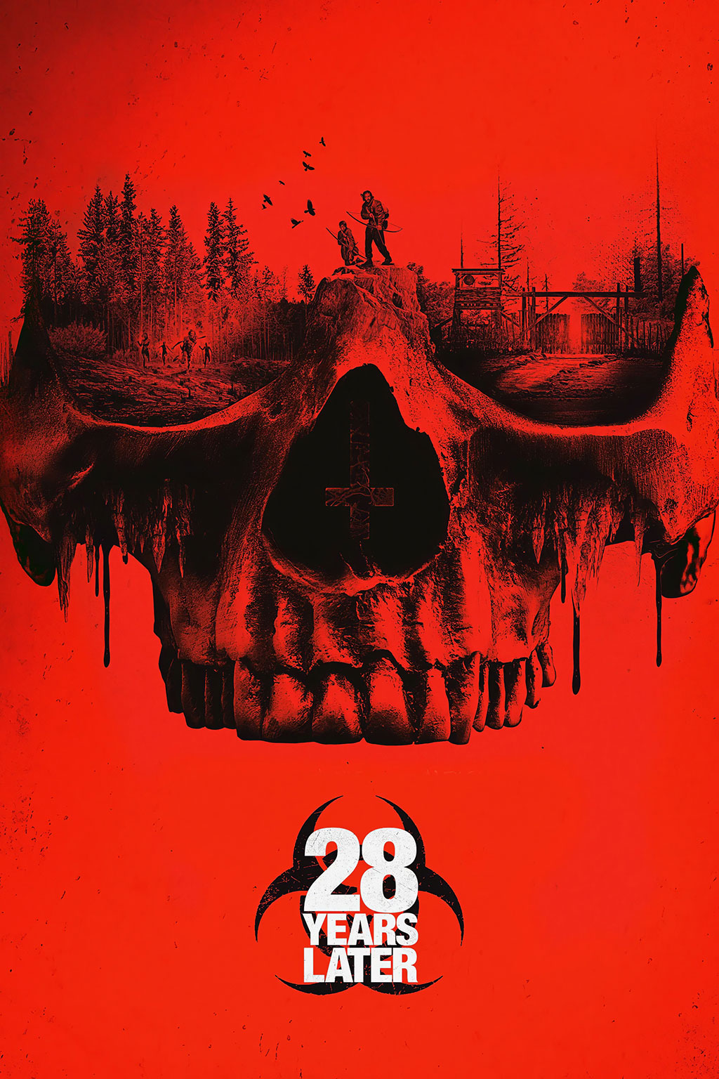 IF Movie Canvas Poster