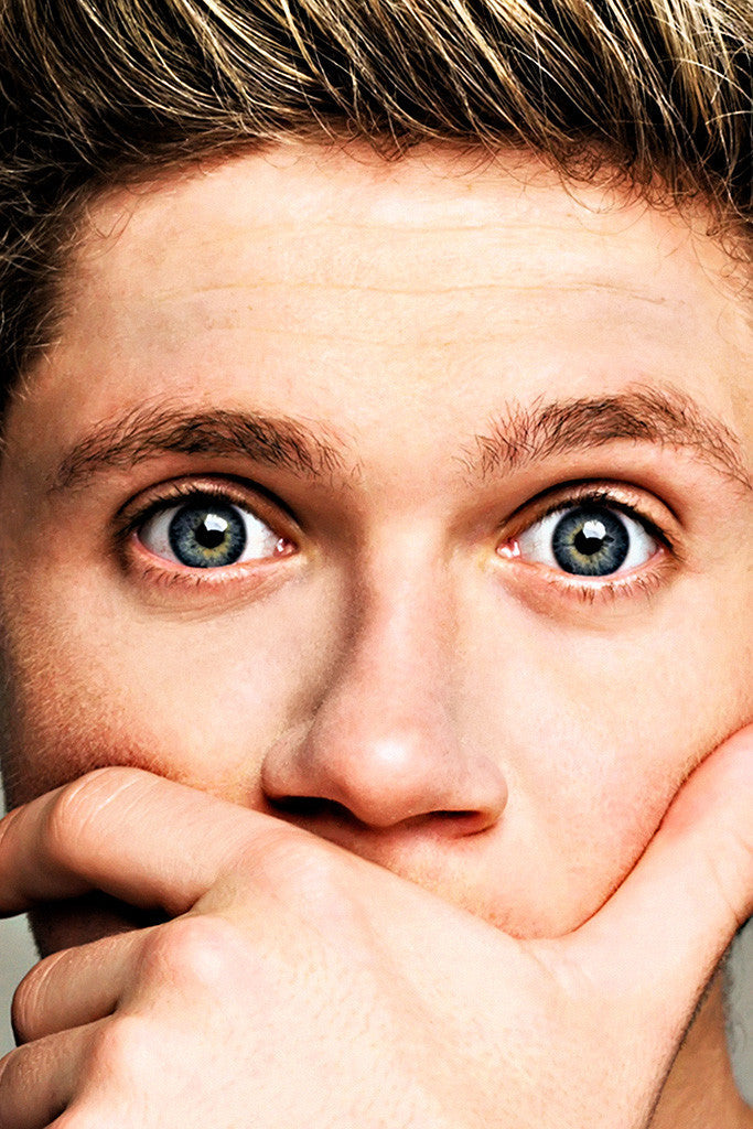 Niall Horan Cute Poster