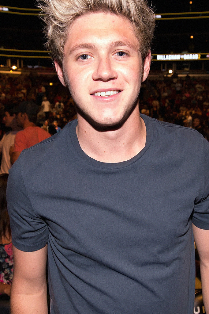 Niall Horan 2016 Poster
