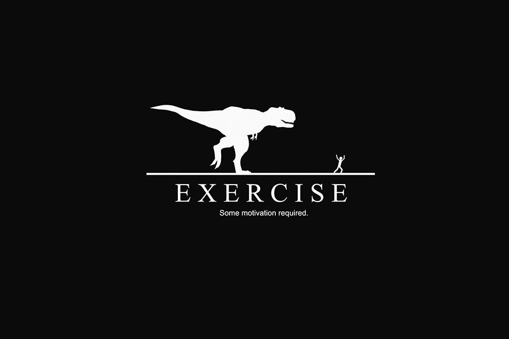 Exercise Funny Humor Sports Motivational Poster