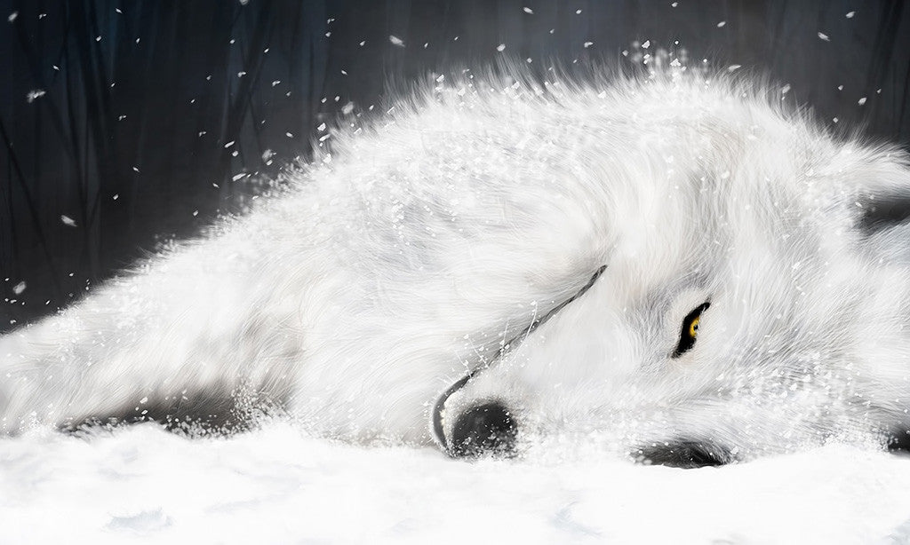 Wolfs Rain The Last Breath Anime Manga Poster