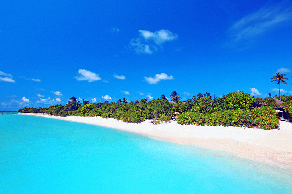Beautiful Landscape Nature Ocean Poster