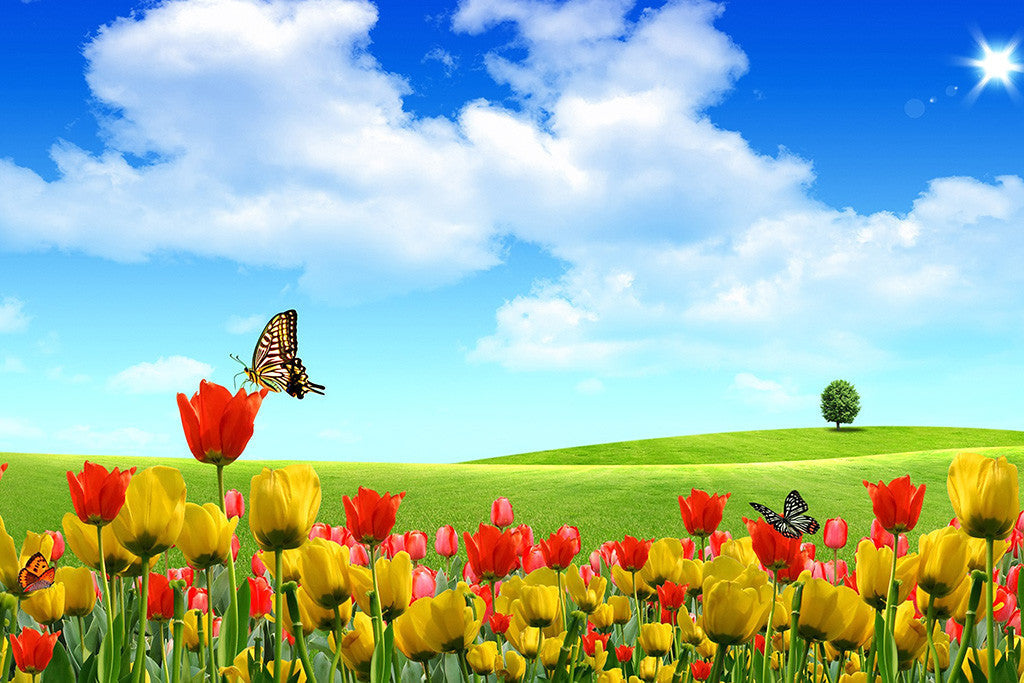 Beautiful Landscape Nature Summer Butterflies Poster
