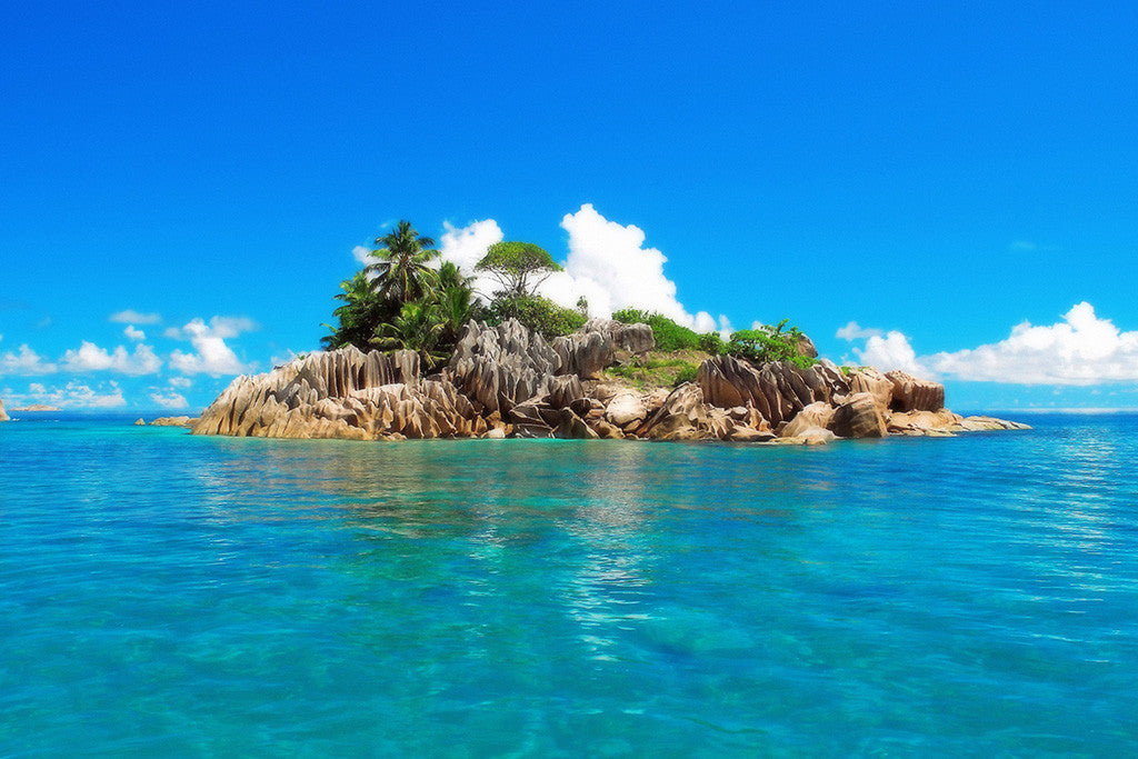 Tropical Island Palm Trees Ocean Sea Nature Landscape Poster