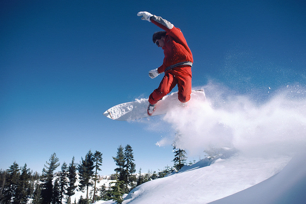 Snow Snowboard Mountains Forest Poster