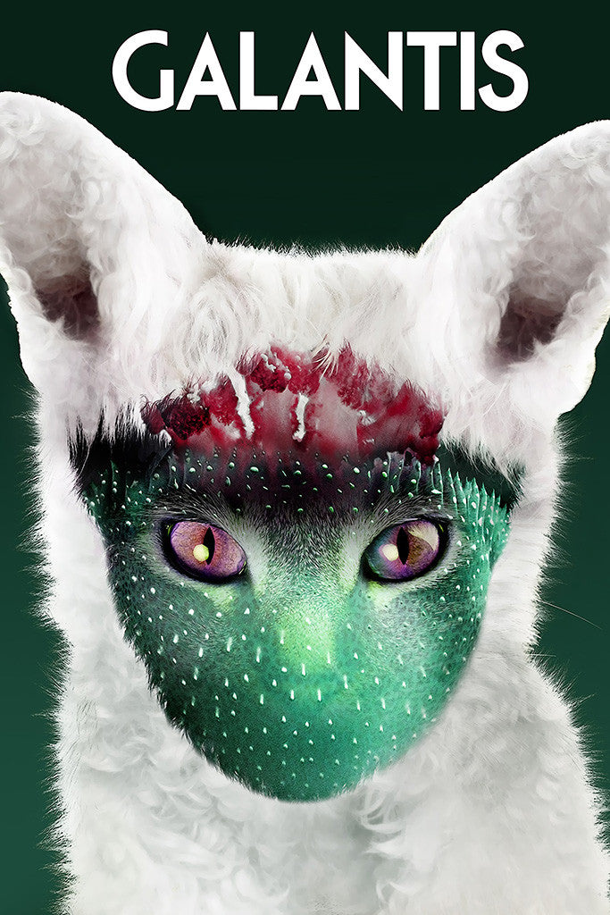 Galantis Runaway Music Poster