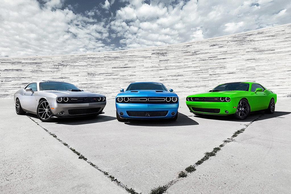 Dodge Challenger Cars Poster