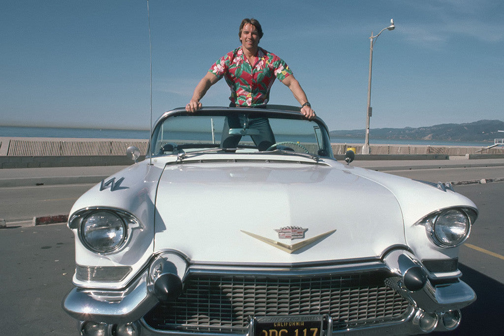 Arnold Schwarzenegger Retro Car Poster