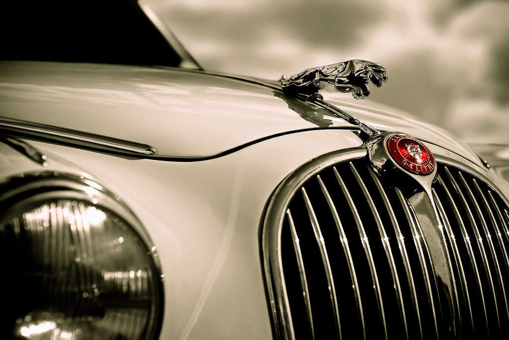 Vintage Jaguar Car Poster