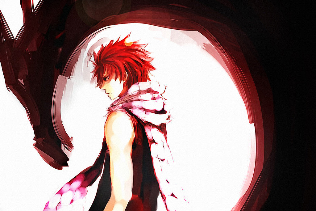 Fairy Tail Manga Poster