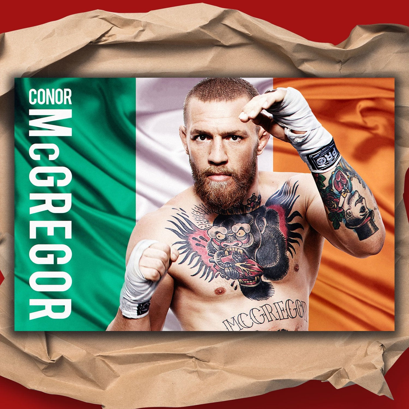Conor McGregor Motivational Poster