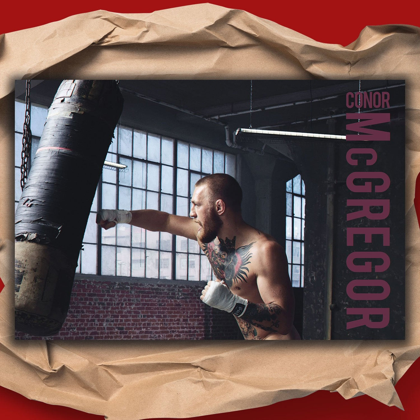 Conor McGregor Punching Bag Poster
