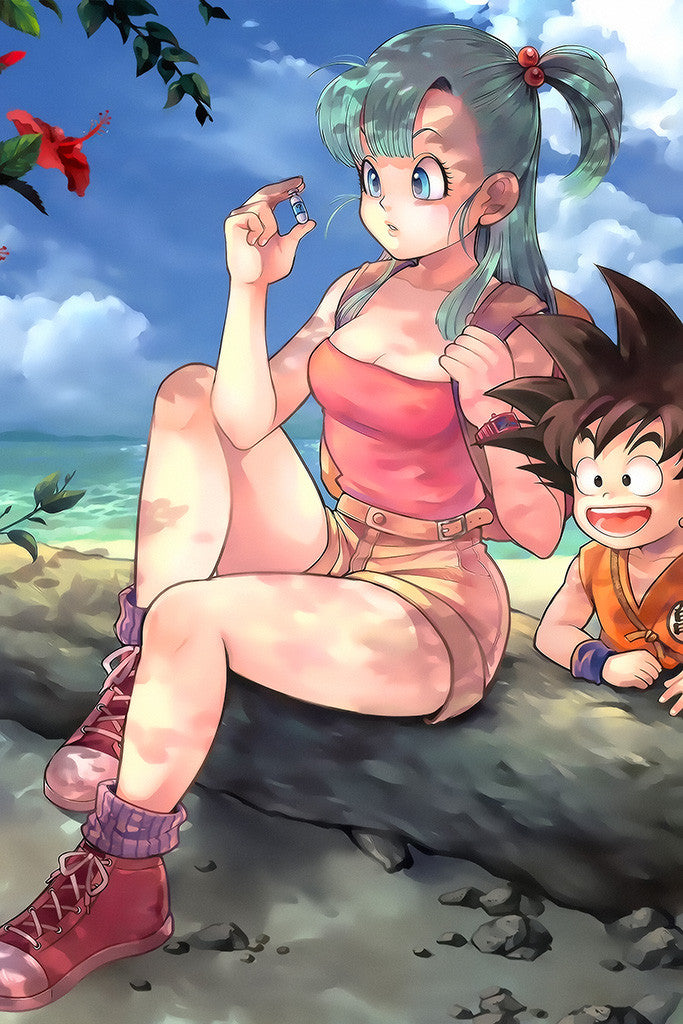 Dragon Ball Z Goku Saiyan Poster