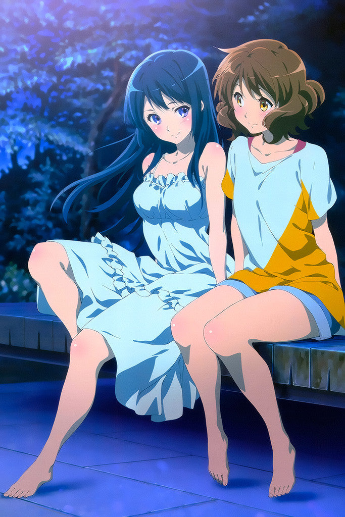 Sound! Euphonium Anime Novel Poster
