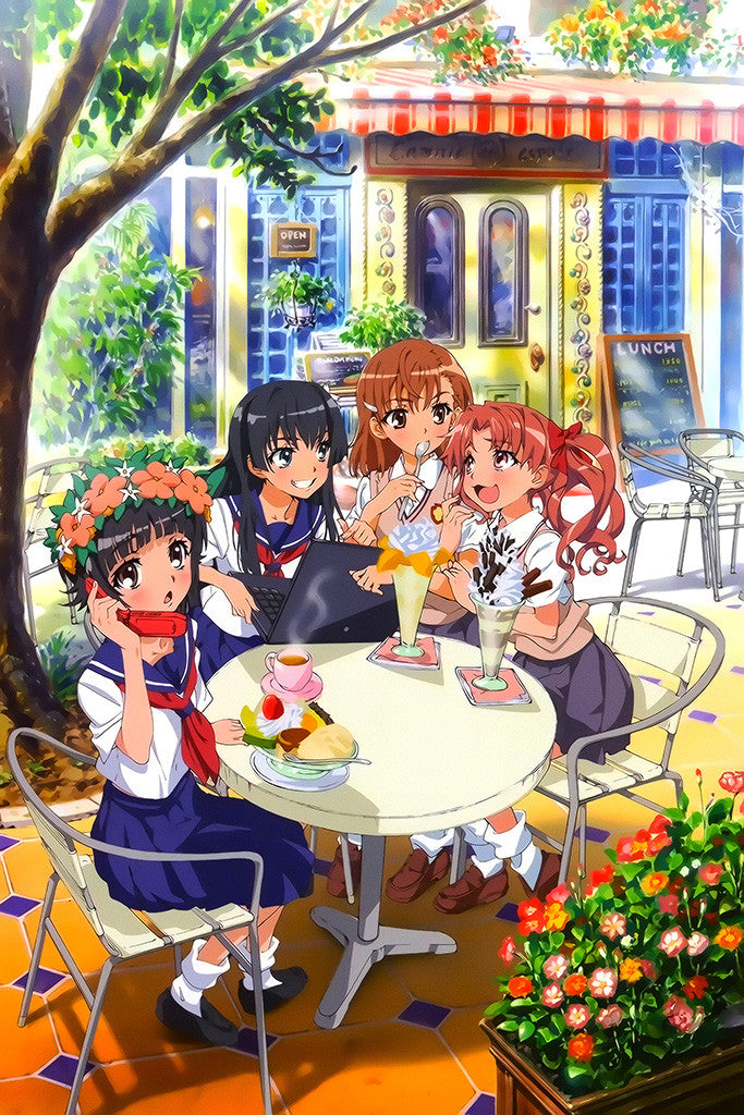 A Certain Scientific Railgun Manga Series Poster