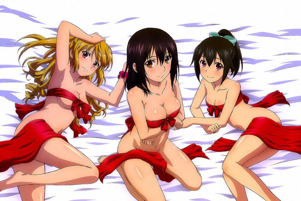 Strike The Blood Sexy Cute Anime Girls Novel Series Poster