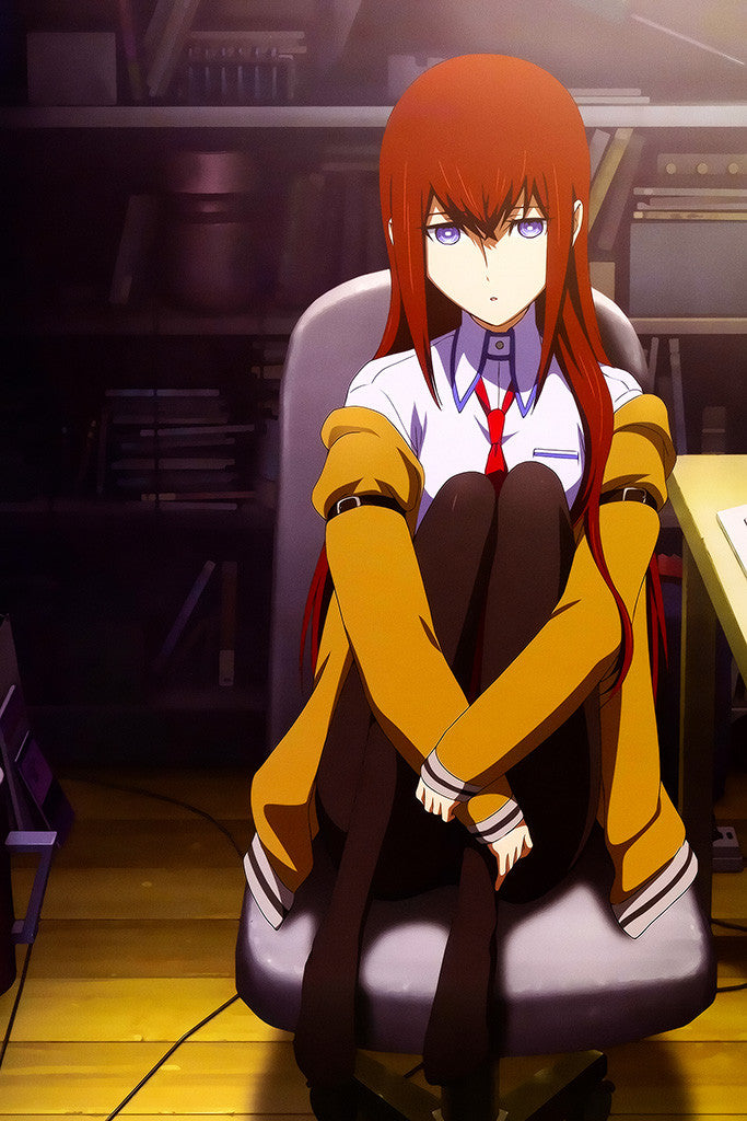 Steins Gate Video Game Anime Poster